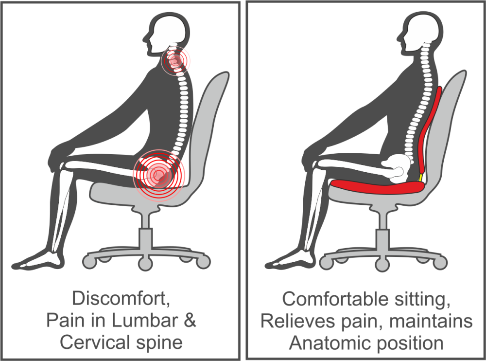 Spinal Support Diagram