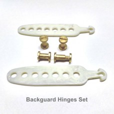 Backguard Hinges and Nut Bolts Set